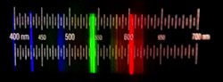 Spectrum CFL Compact Fluorescent
